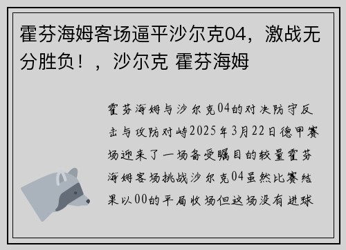 霍芬海姆客场逼平沙尔克04，激战无分胜负！，沙尔克 霍芬海姆